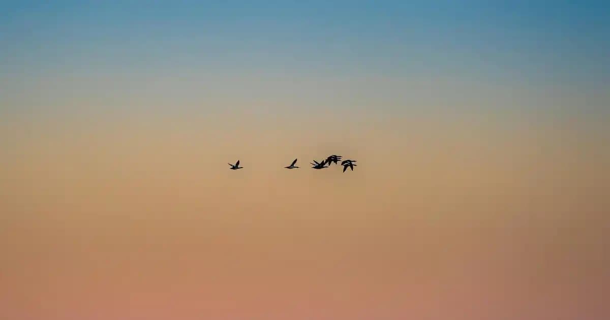 Dijital Teknolojilerin Moda Endüstrisine Entegrasyonu ve Gelecek Trendleri