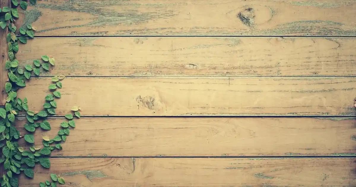 DKNY Erkek Mont Koleksiyonu Modern Tasarımlar ve Fonksiyonel Özellikler