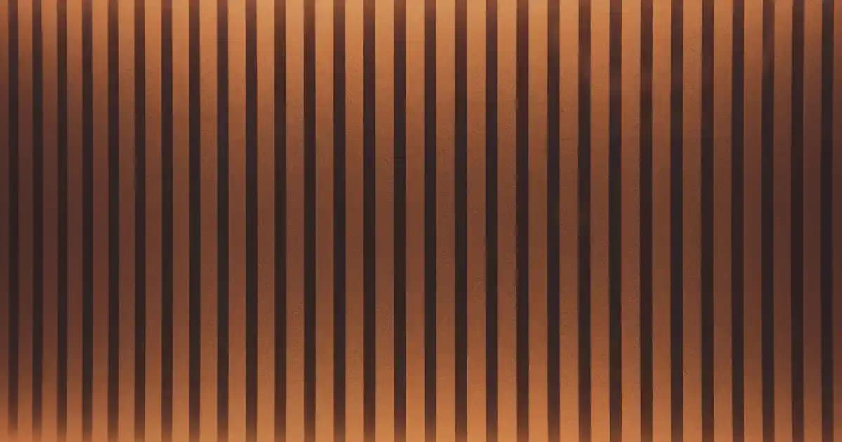 Düz Taban Ayaklar İçin En Uygun Terlik Seçenekleri ve Dikkat Edilmesi Gerekenler