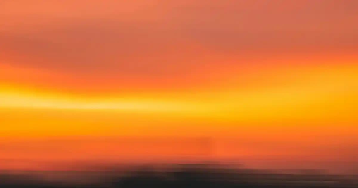 Eğlenceli Sweatshirtler: Renkli ve Yaratıcı Tasarımlarla Moda Dünyasında Öne Çıkın