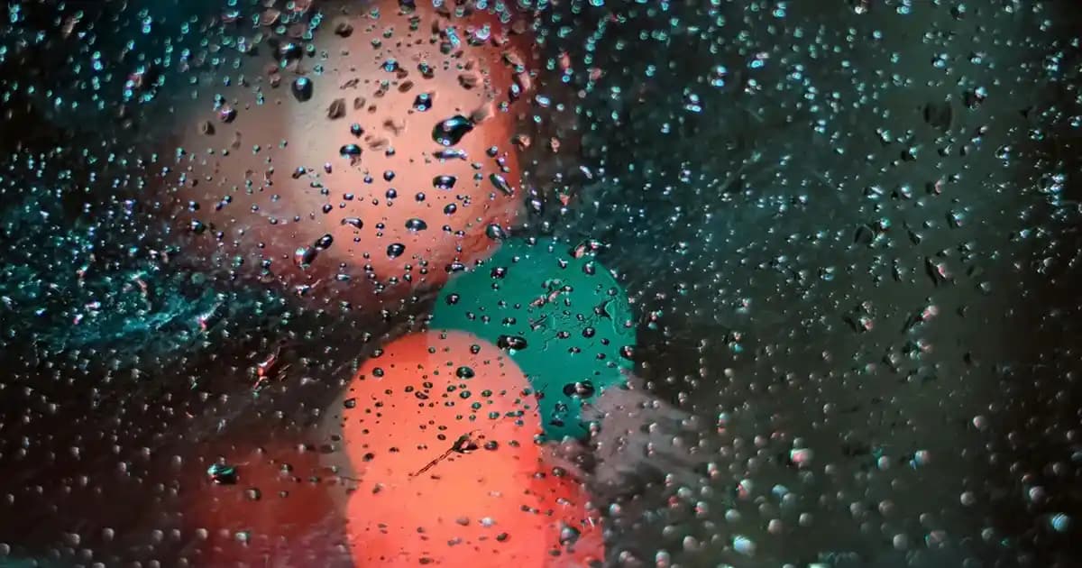 Elbise İsimleri ve Moda Dünyasında Yeri: Güncel Trendler ve Tasarım Özellikleri