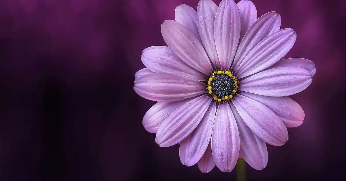 Elbise ve Ayakkabı Seçiminde Uyum ve Stil Rehberi 2023