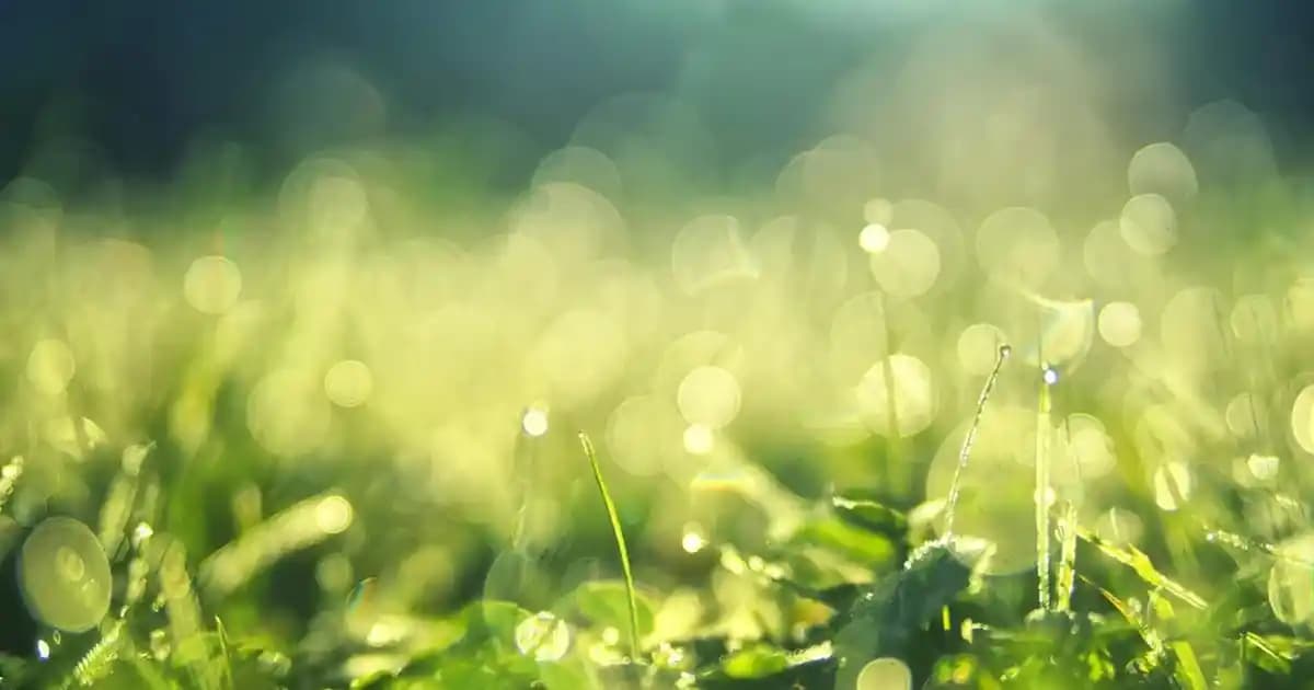 En İyi Kaz Tüyü Mont Markaları ve Seçim Rehberi 2023