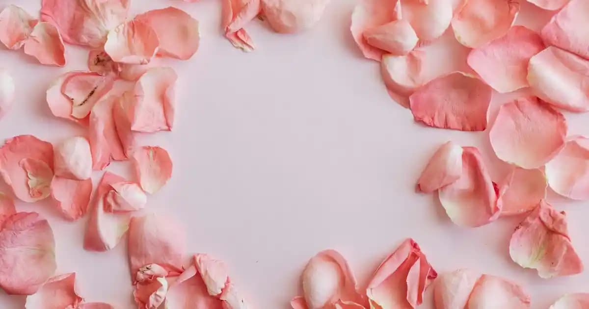 Erkek Lise Mezuniyet Kombinleri: Şık ve Rahat Tarzlar İçin En İyi Öneriler