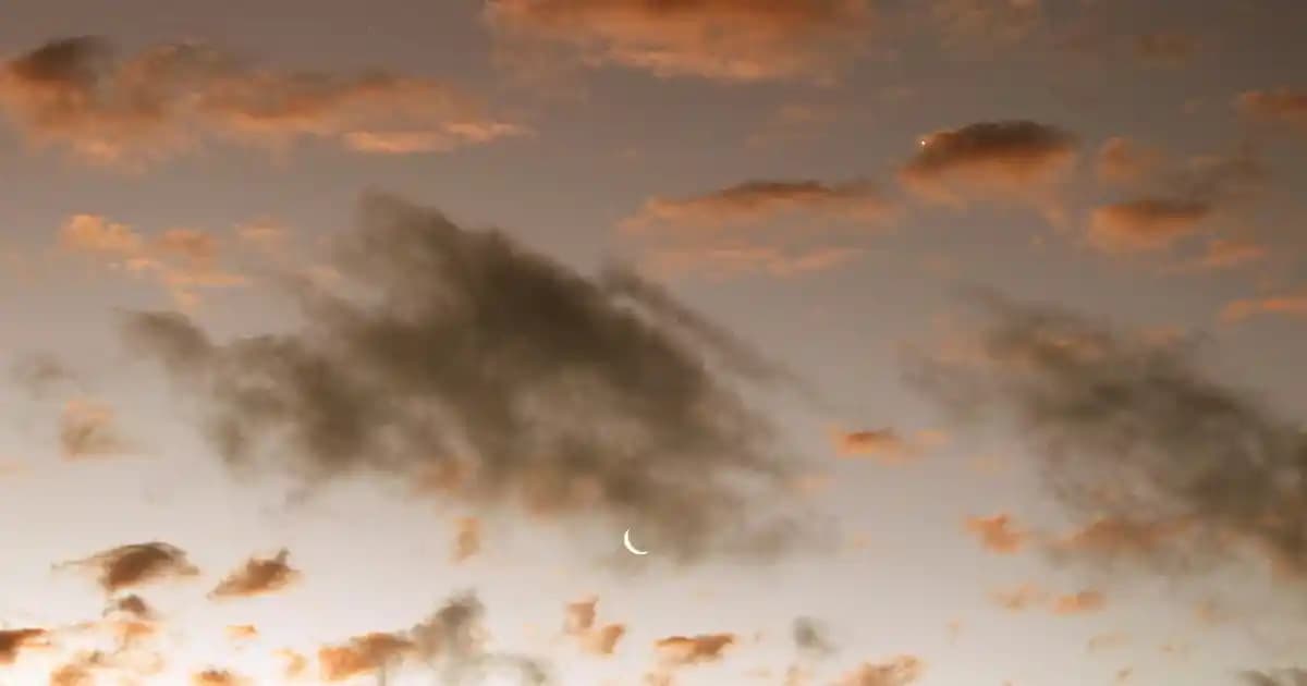 Erkek Modasında Chinos Pantolonların Stil, Konfor ve Trendler İçindeki Yeri