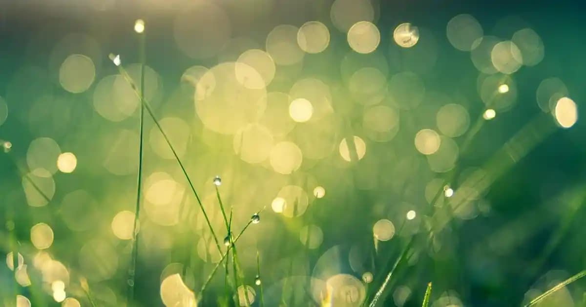 Erkek Modasında Kaşe Kabanlar: DeFacto ile Uygun Fiyatlı Şıklık ve Fonksiyonellik