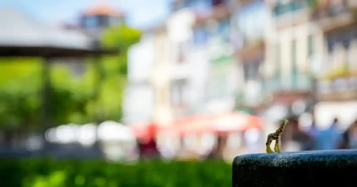 Erkek Yelek Pantolon Takımlarında Modern ve Şık Stil Yaklaşımları