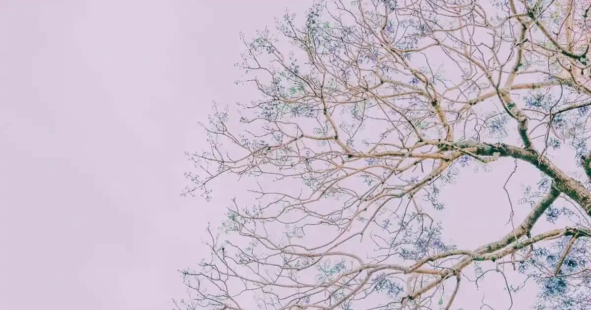 Erkekler İçin 36 Numara Spor Ayakkabılarda Adidas ile Şıklık ve Konforun Buluşması