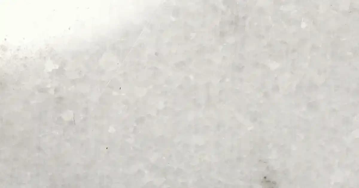 Erkekler İçin Dağcı Montları: Fonksiyonellik ve Şıklığın Güncel Trendleri