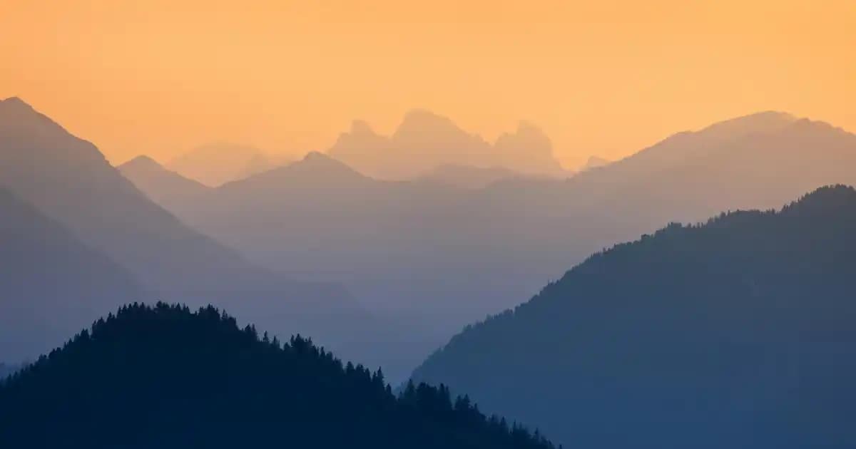 Erkekler İçin Kanvas Ayakkabılar: Stil ve Konforun Bir Arada Sunulduğu Modern Seçenekler