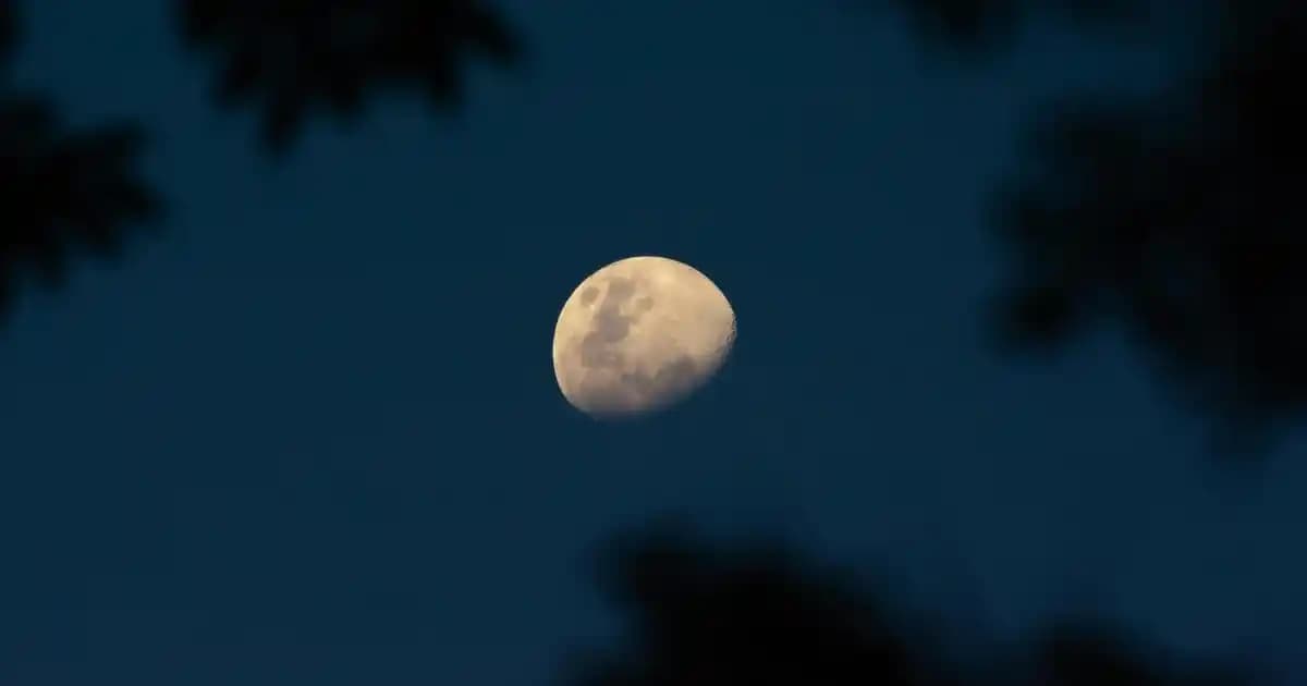 Eros Kadın Parfümü: Kalıcı ve Çekici Kokusu ile Modern Kadınların Tercihi