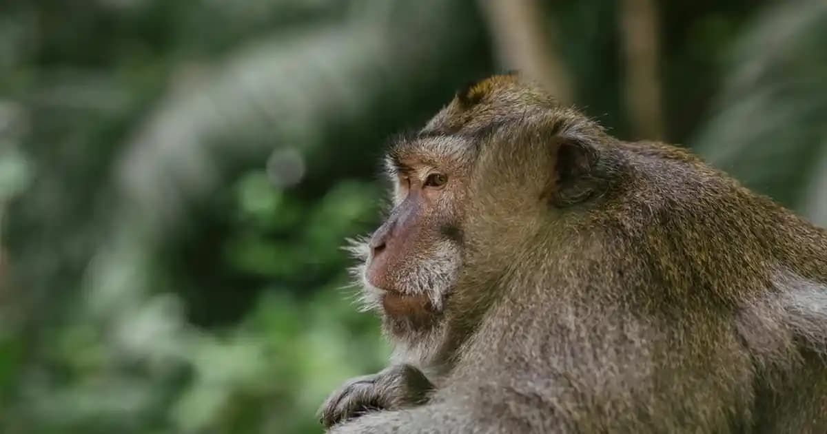 Fit Jean Modasında Güncel Trendler ve Stil İpuçları 2024