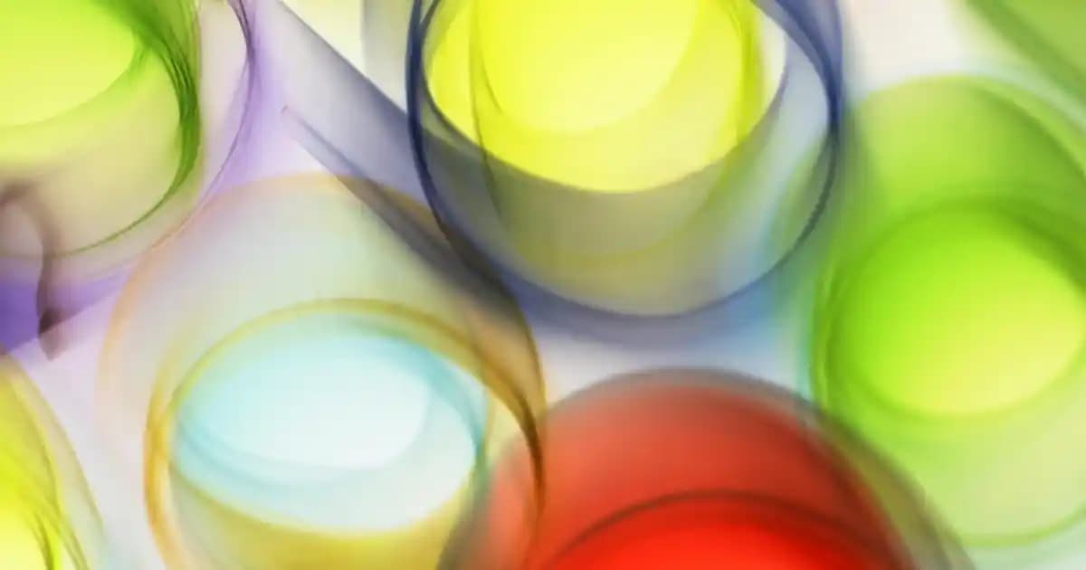 Frappoli Mont Nedir? Stil ve Kombinasyon İpuçlarıyla Kış Modasında Öne Çıkın