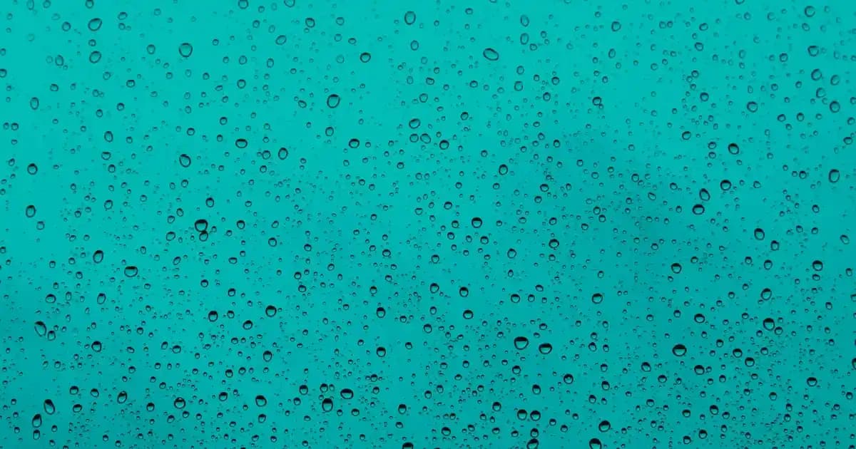 Füme Ceket Nedir ve Neden Moda Dünyasında Popüler Bir Seçenektir