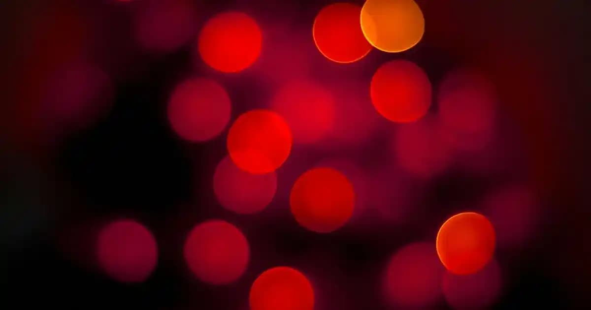 Galataport İstanbul: Moda, Alışveriş ve Kültürel Etkinliklerin Merkezi