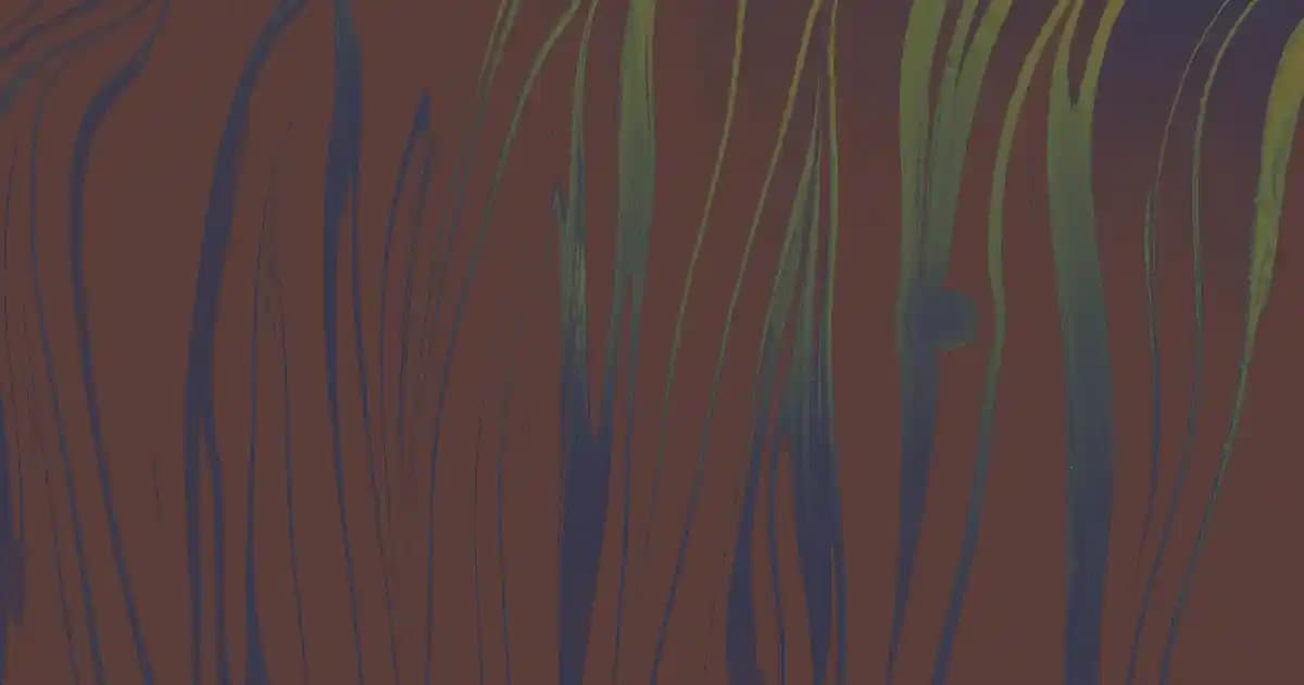 Gardırop Düzenleme Sanatı: Şıklığa Giden Yol ve Pratik İpuçları