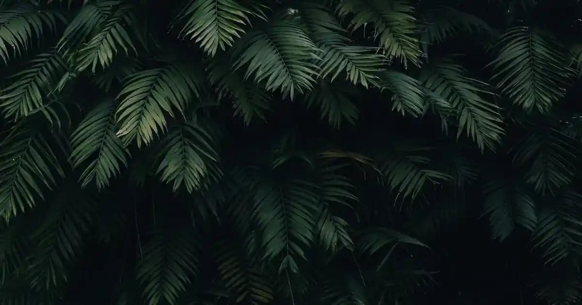 Gömlek ve Elbise Kombinasyonu: Moda Trendleri ve Stil İpuçları 2023