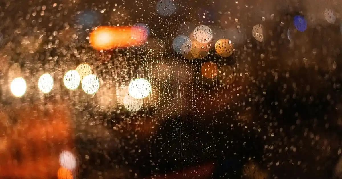 Gömlekli Tişört Modası: Güncel Trendler ve Stil İpuçları ile Şıklık ve Rahatlık