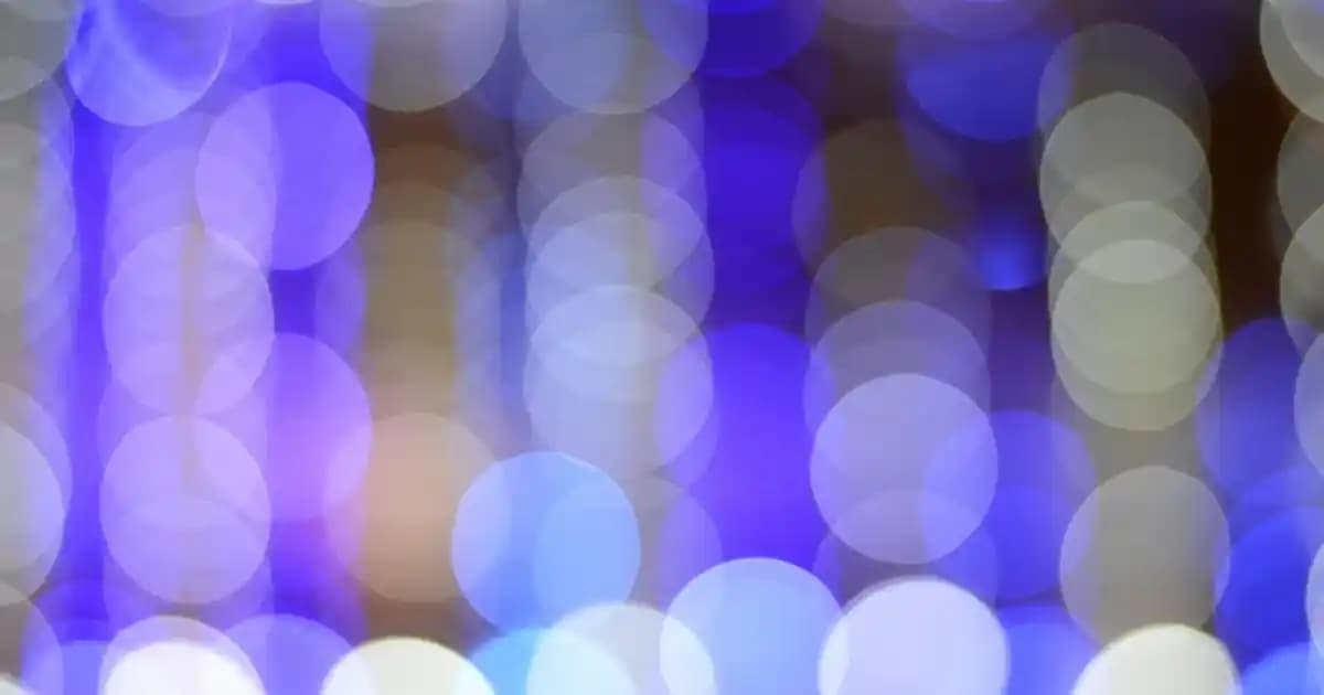 Gusto Mont Kabanlar: Modern Tasarım ve İşlevselliği Bir Arada Sunan Kış Kabanları