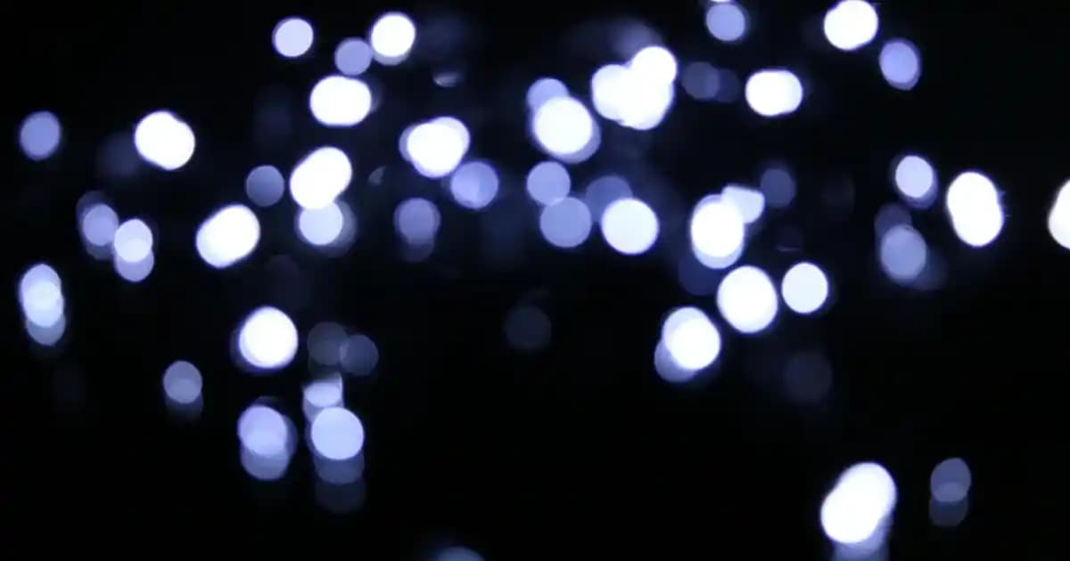 Himalayan İzolasyonlu Parkalar: Kış Modasında Şıklık ve İşlevsellik Bir Arada