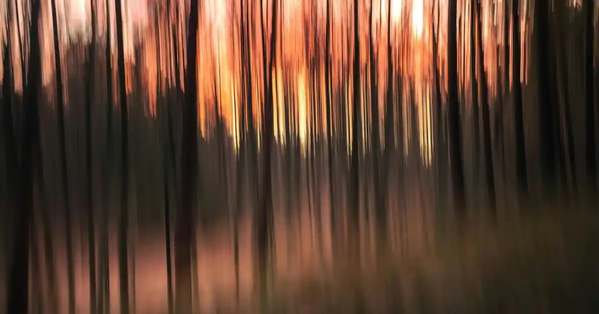 İnce Kaşe Nedir Moda Trendlerindeki Yeri ve Kombinasyon İpuçları