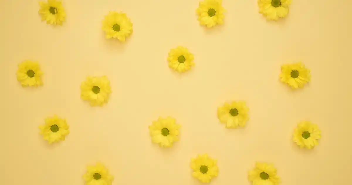 İndirimli Takım Elbise Seçenekleri ve Moda Trendleri Hakkında Kapsamlı Bilgi