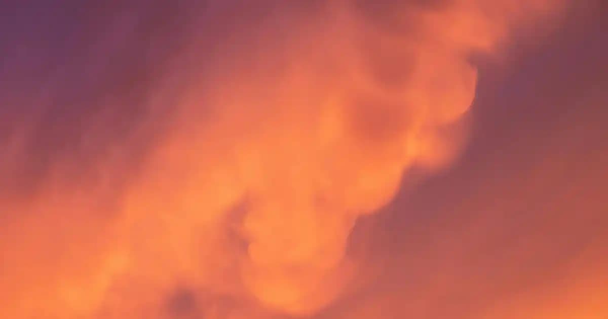 İthal Tişörtler ve Moda Endüstrisinde Sürdürülebilirlik Trendleri Analizi