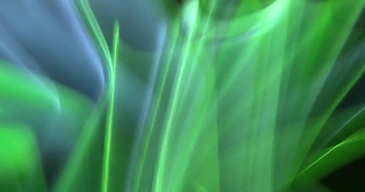 Kadın Elbise İsimleri ve Moda Trendlerine Göre Çeşitleri Hakkında Detaylı Bilgi