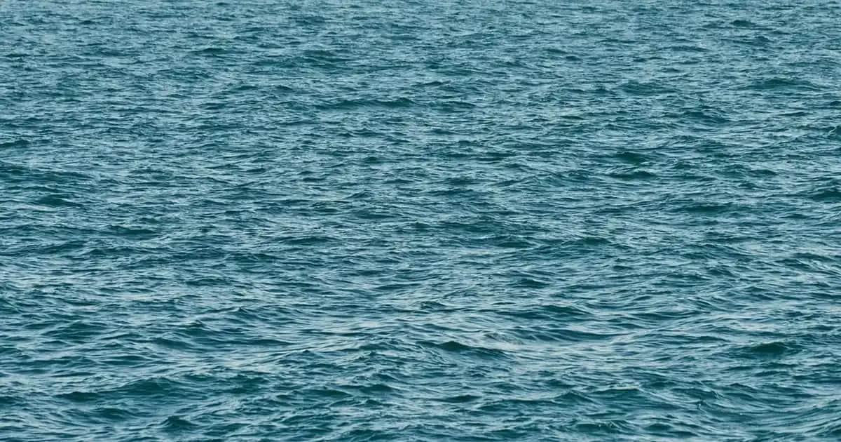 Kadınlar İçin Adidas Tulum Modası: Şıklık ve Konforun Mükemmel Buluşması