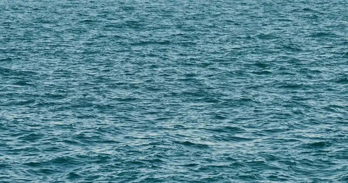 Kadınlar İçin Adidas Tulum Modası: Şıklık ve Konforun Mükemmel Buluşması