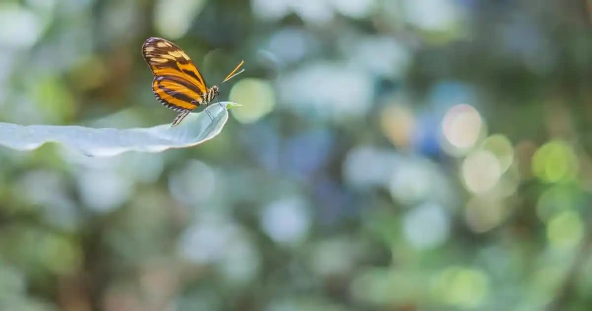 Kahve ve Mavi Renklerin Moda Dünyasındaki Uyumu ve Kombinasyon İpuçları