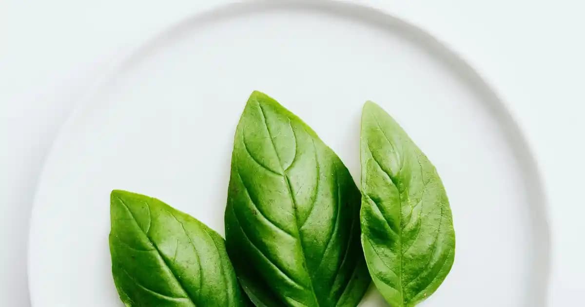 Kahverengi Pantolon Askısı: Moda Dünyasında Şıklığı Tamamlayan Detaylar ve Kombin İpuçları