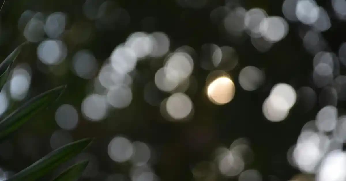 Kapalı Dar Elbise Modelleri: Şıklık ve Zarafetin Modern Yansıması