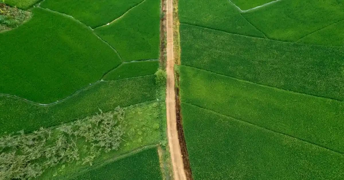 Kığılı Pantolon: Moda Dünyasında Şıklık ve Konforu Bir Arada Sunan Modern Tasarımlar