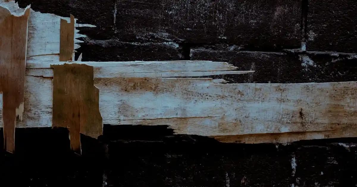 Kimono: Geleneksel Zarafetin Modern Moda ile Buluşması ve Günümüzdeki Yeri