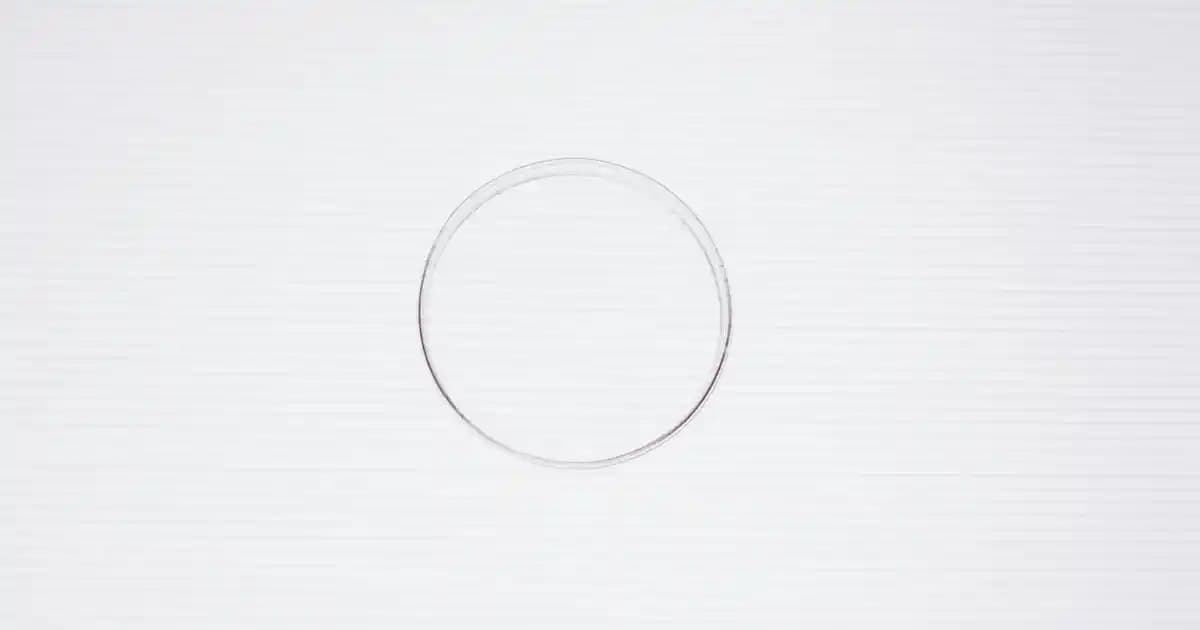 Kırmızı Campus: Moda Dünyasında Cesur ve Şık Renk Seçeneği Analizi