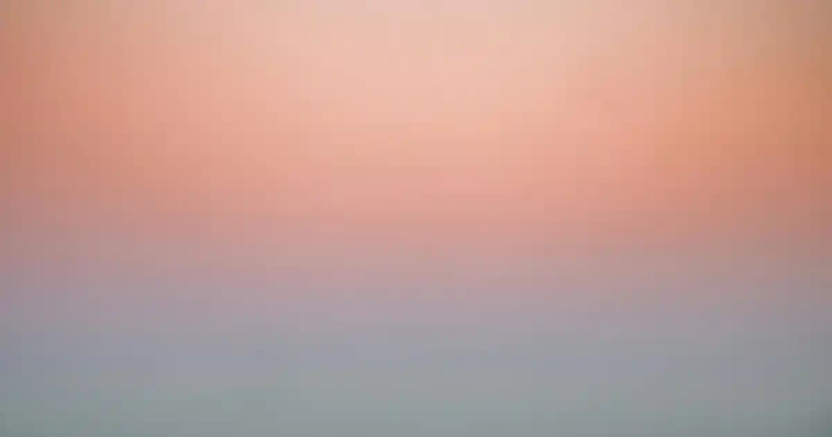 Kışa Özel Bayanlar İçin En Şık ve Konforlu Kışlık Terlik Seçenekleri