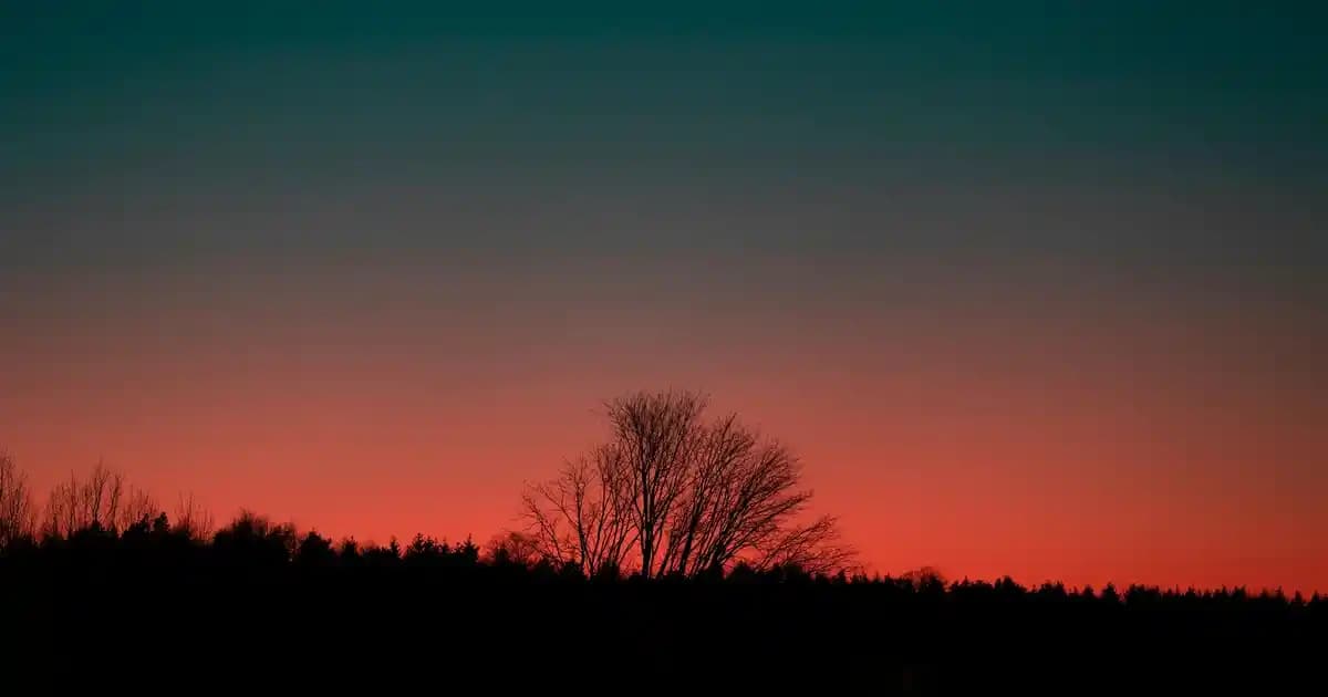 Kişiye Özel Kravatlar ile Erkek Modasında Şıklık ve Kişisel Tarzın Yansıtılması