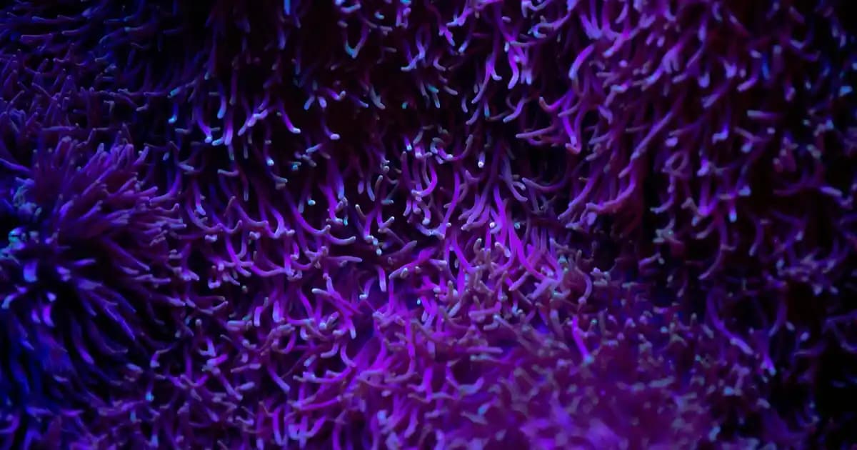 Kıyafet Bedenleri ve Vücut Tiplerine Uygun Moda Seçenekleri Rehberi