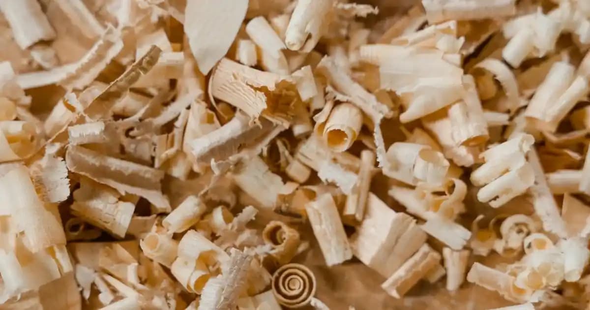 Kız Bebek Kabanları: Moda ve Konforu Bir Arada Sunan Güncel Seçenekler