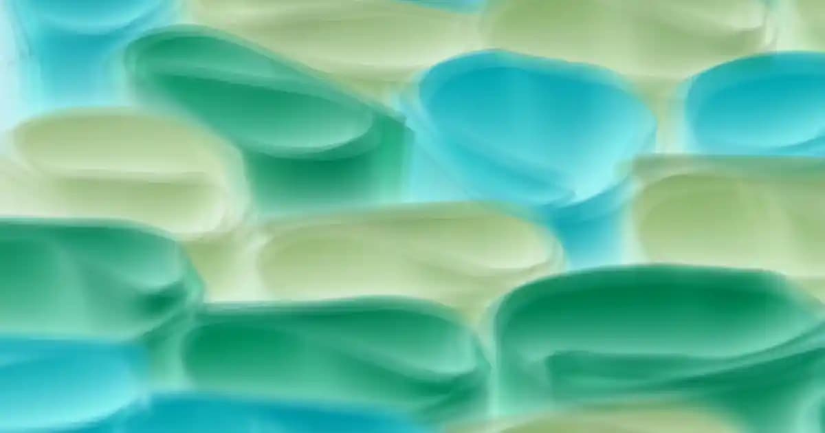 Kot Pantolon Yıkama Programları ve Bakım Rehberi: Uzun Ömürlü Kullanım İçin İpuçları