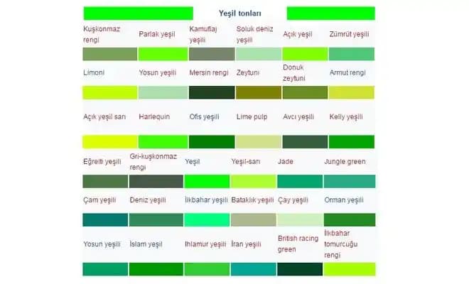 Koyu Yeşil Tonlarının Moda Dünyasındaki Yeri ve Stil İpuçları