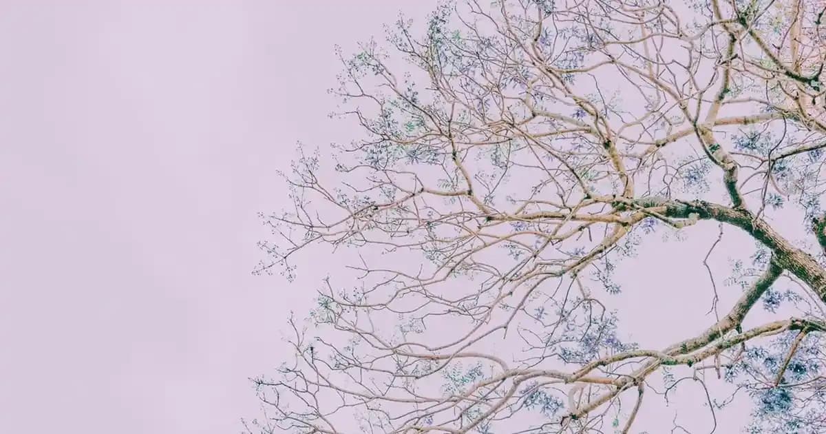 Lacivert Çizgili Takım Elbise Kombinleri: Şıklık ve Zarafetin Modern Yolu