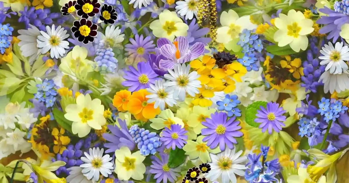 Mevsimlik Erkek Pardesü Modelleri ve Fiyat Seçenekleri Güncel Trendler