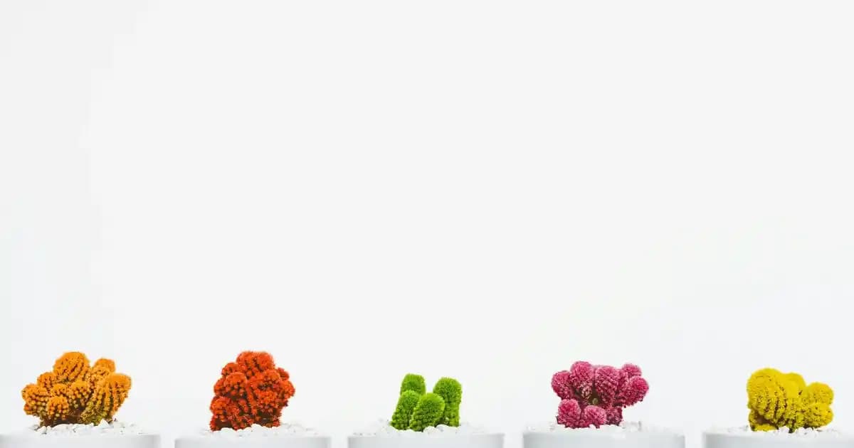 Moda Dünyasında 3'lü Tişörtler: Çok Yönlü ve Ekonomik Trendler Hakkında Detaylar