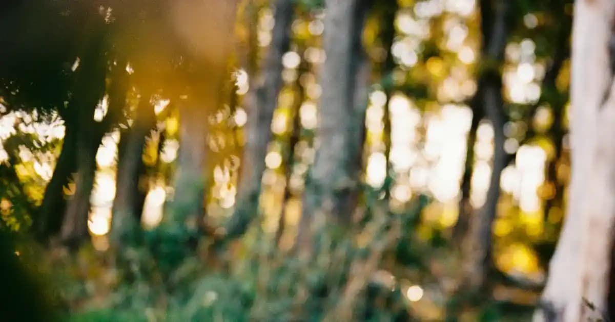 Moda Dünyasında 'Air' Kavramı ve Güncel Trendler: Hafiflik ve Teknolojinin Buluşması