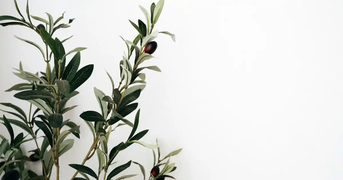 Moda Dünyasında Bez Şapka: Rahatlık ve Şıklığın Modern Buluşması