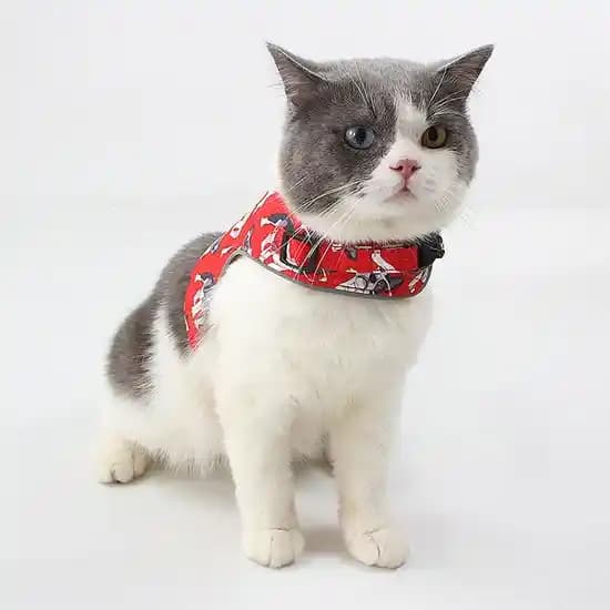 Moda Dünyasında Cat Yelek: Tarzınızı Yansıtan Şık ve Çok Yönlü Kıyafet Parçası