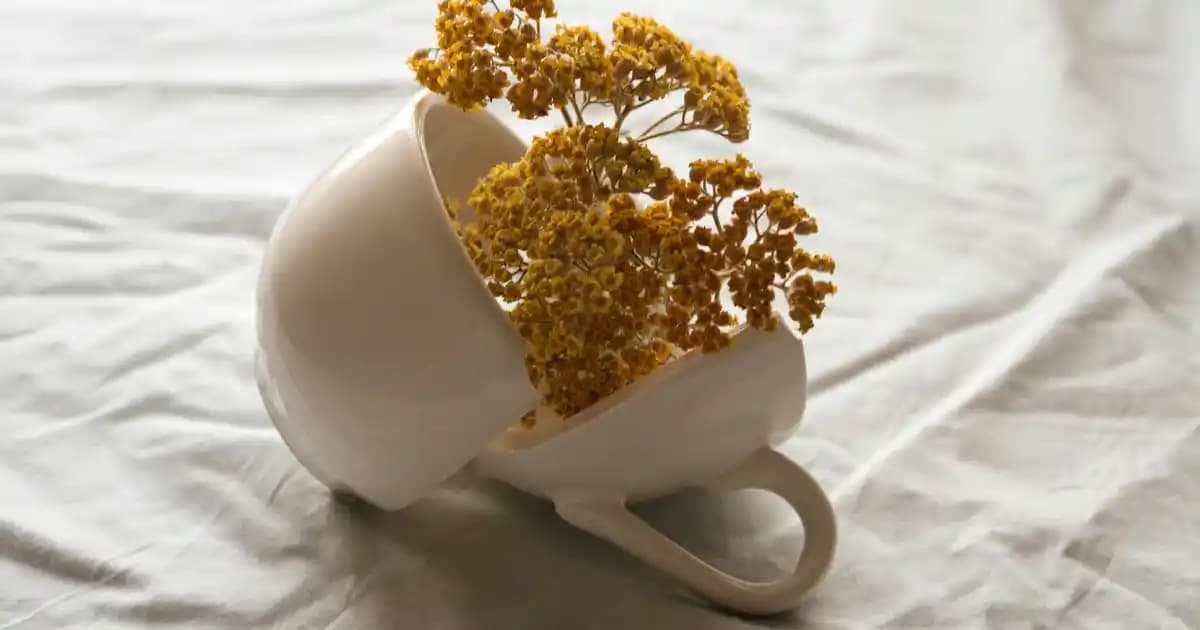 Moda Dünyasında Düğmeli T-Shirt: Güncel Trendlerin Vazgeçilmez Parçası ve Kombin İpuçları