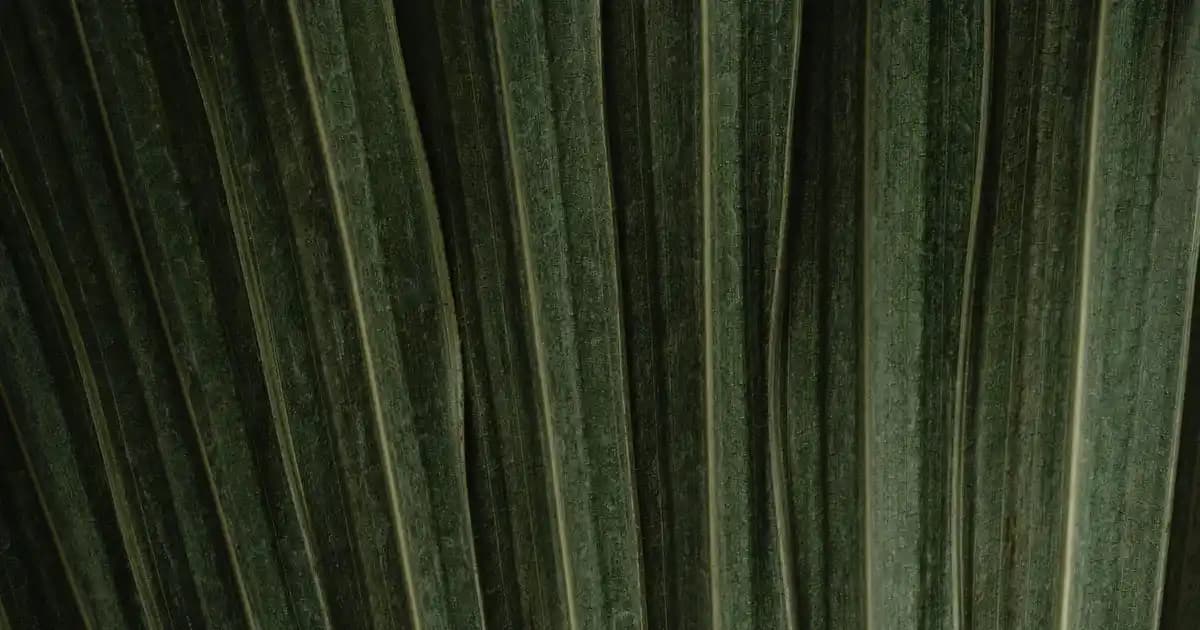 Moda Dünyasında Snack Temalı Ayakkabılarla Güncel Trendleri Yakalayın ve Kişisel Tarzınızı Yansıtın